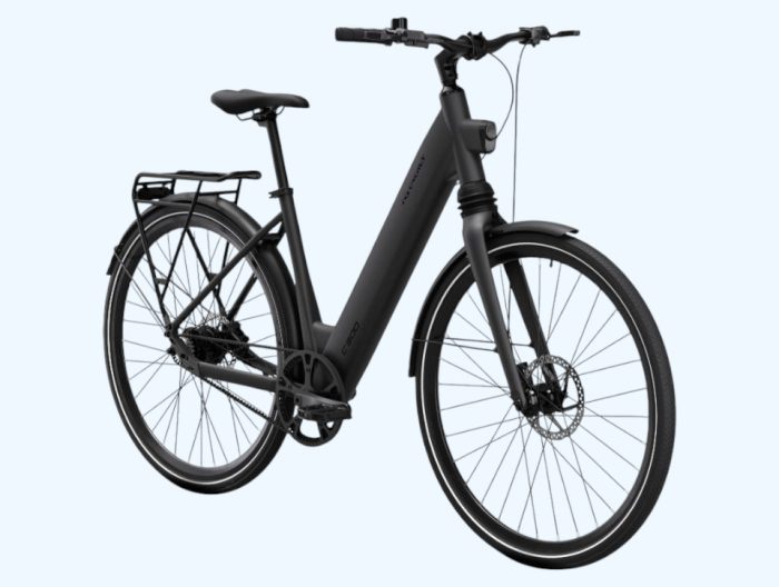MS ENERGY C300